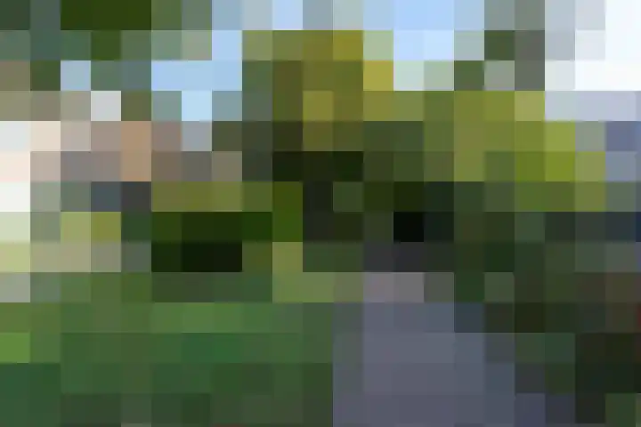 Ganzerik 16 Castricum thumbnail 36