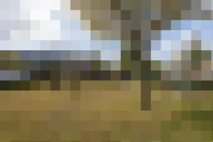 Ganzerik 16 Castricum thumbnail 37