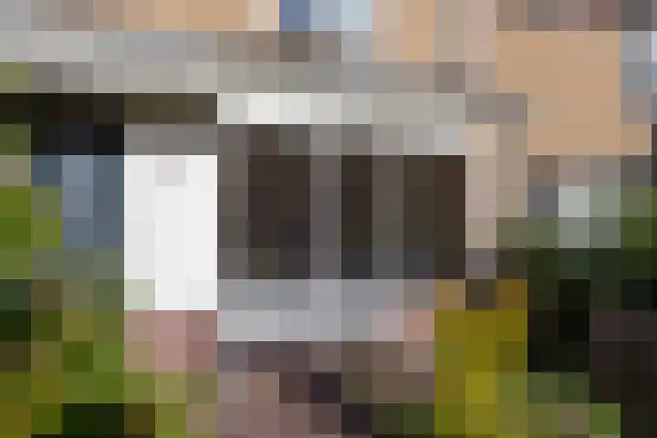 Ganzerik 16 Castricum thumbnail 38