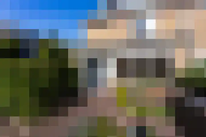 Ganzerik 16 Castricum thumbnail 39