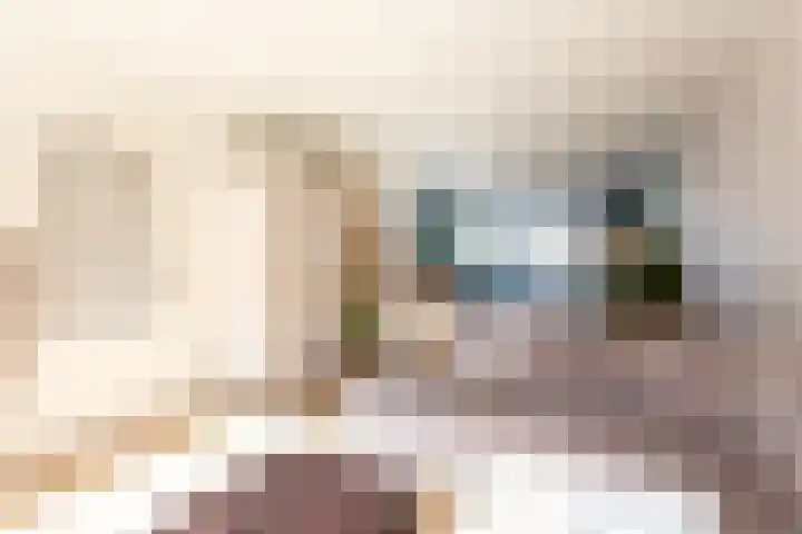 Ganzerik 16 Castricum thumbnail 4
