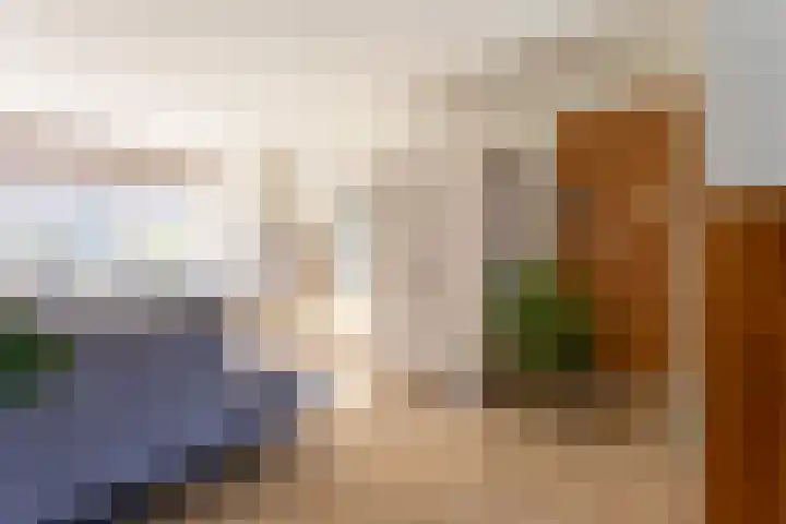 Ganzerik 16 Castricum thumbnail 5
