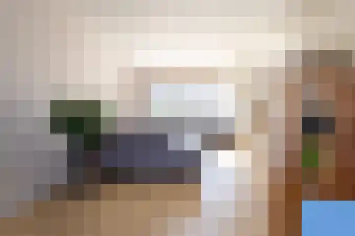 Ganzerik 16 Castricum thumbnail 6