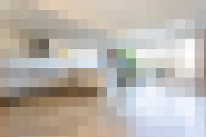 Ganzerik 16 Castricum thumbnail 7