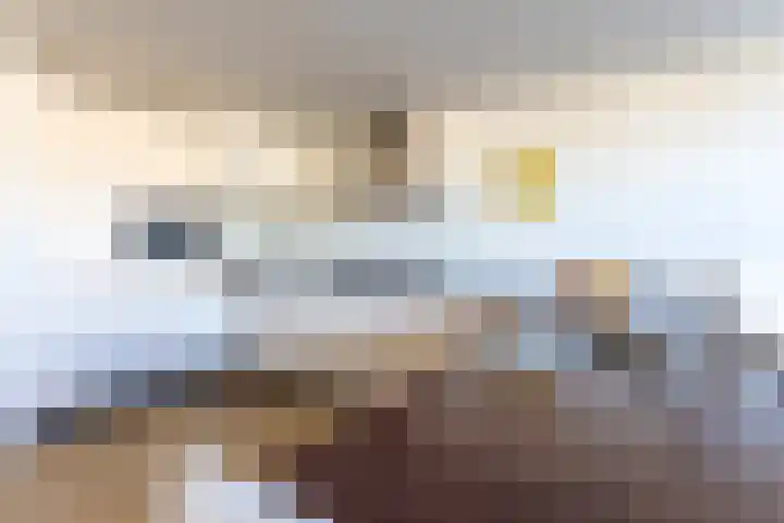 Ganzerik 16 Castricum thumbnail 9