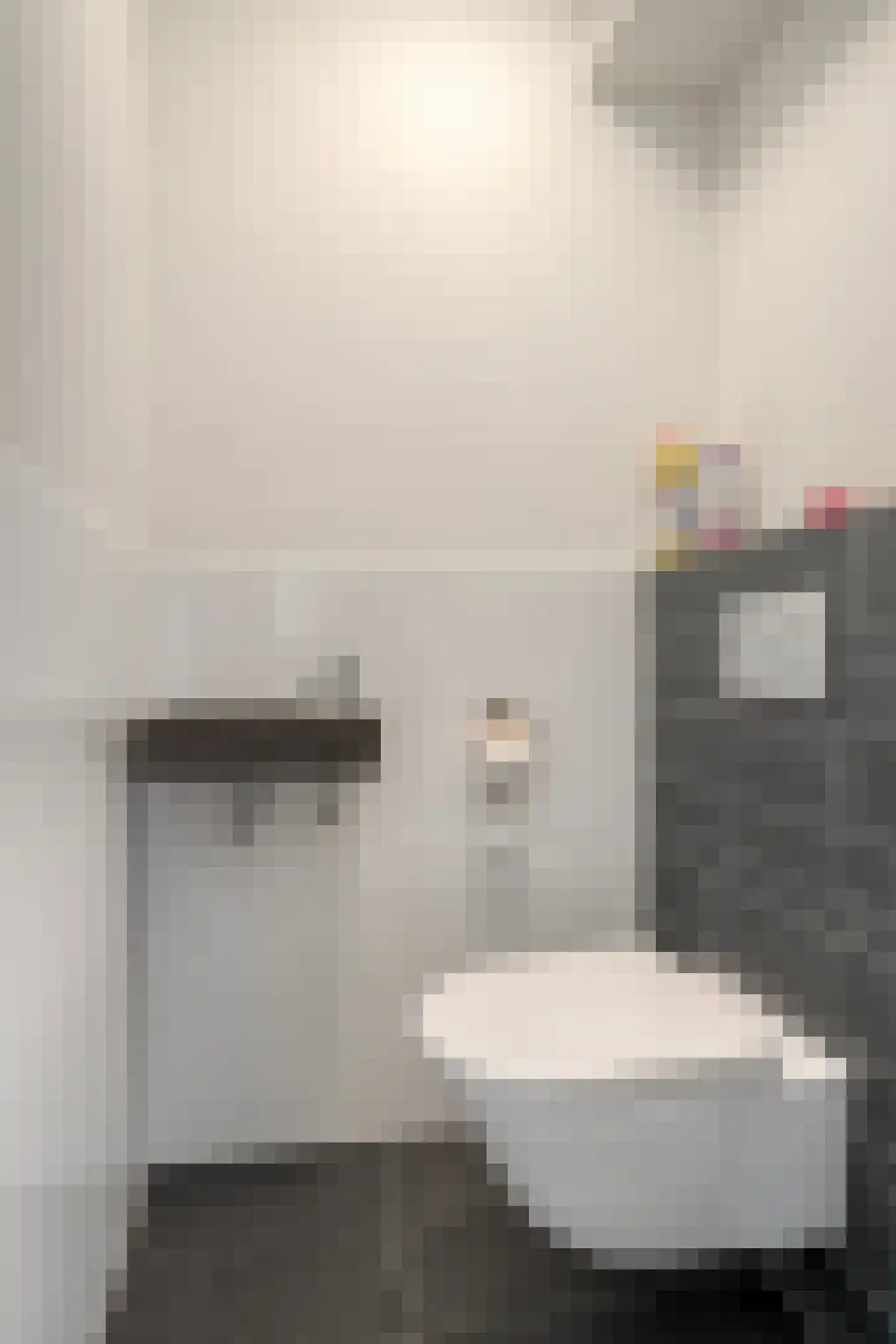 Ganzerik 22 Tiel thumbnail 10