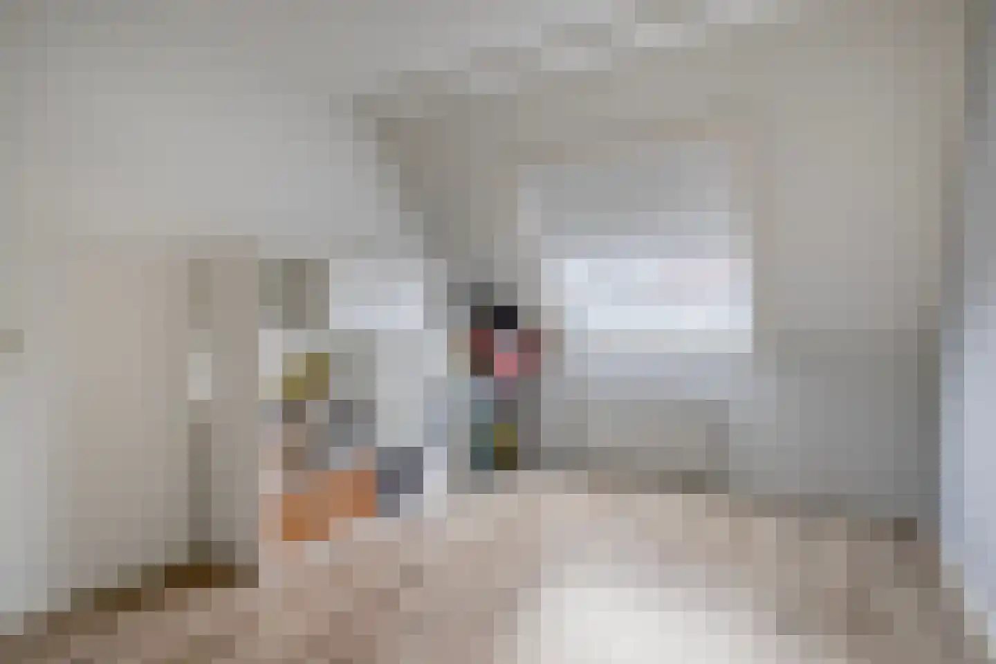 Ganzerik 22 Tiel thumbnail 12
