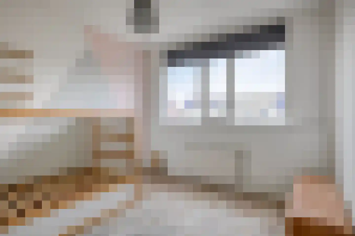 Ganzerik 22 Tiel thumbnail 14
