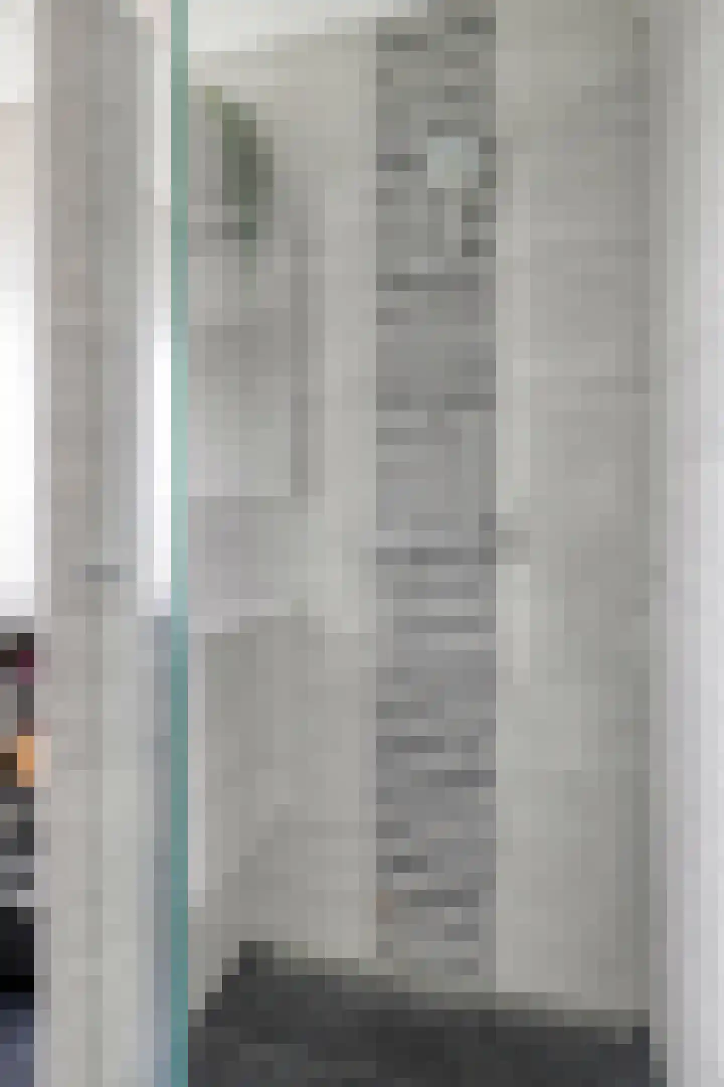 Ganzerik 22 Tiel thumbnail 20