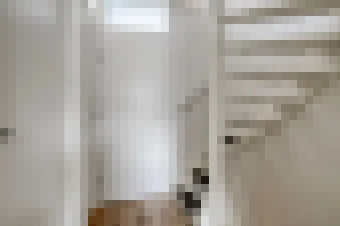 Ganzerik 22 Tiel thumbnail 21