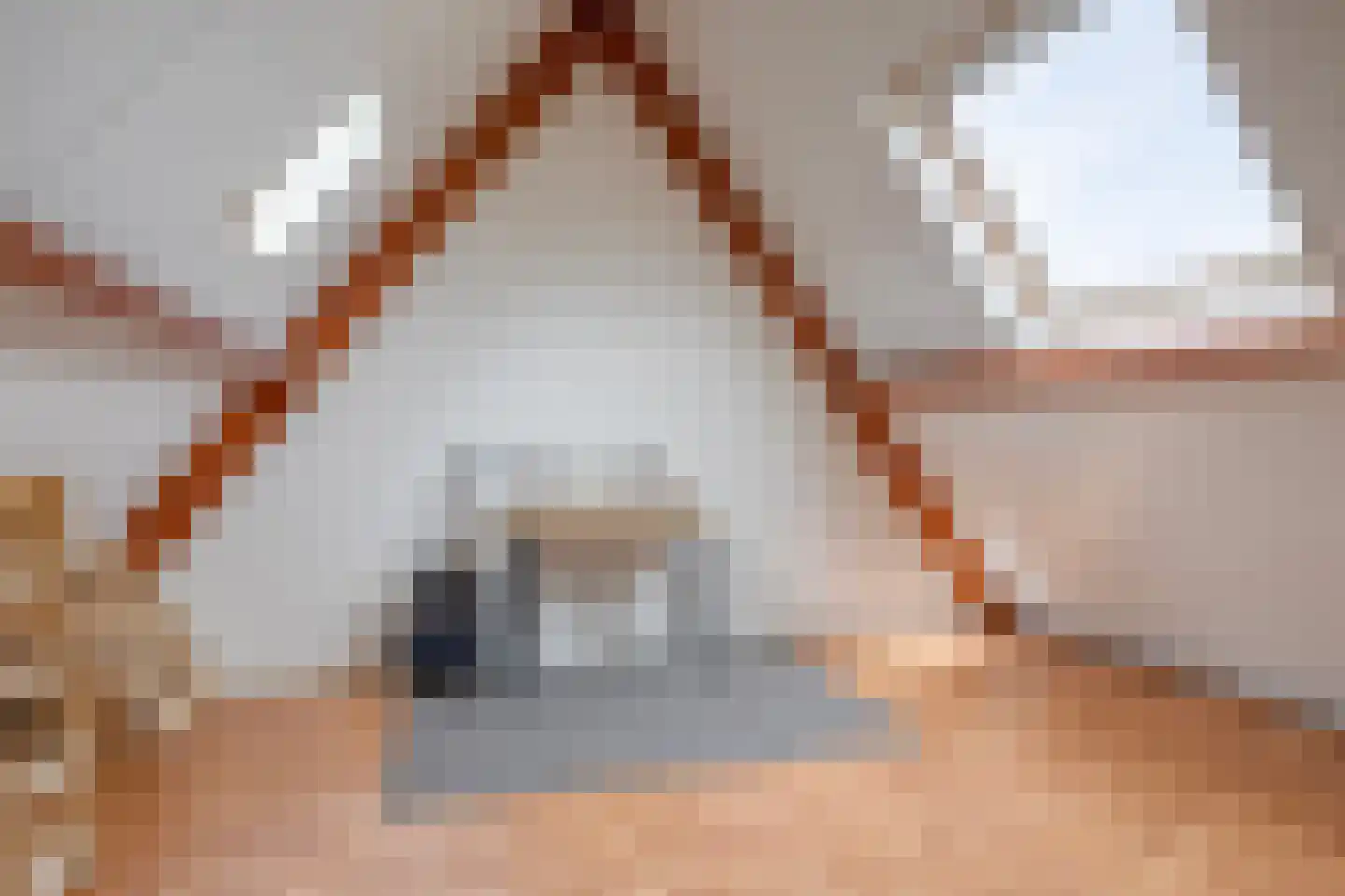 Ganzerik 22 Tiel thumbnail 22
