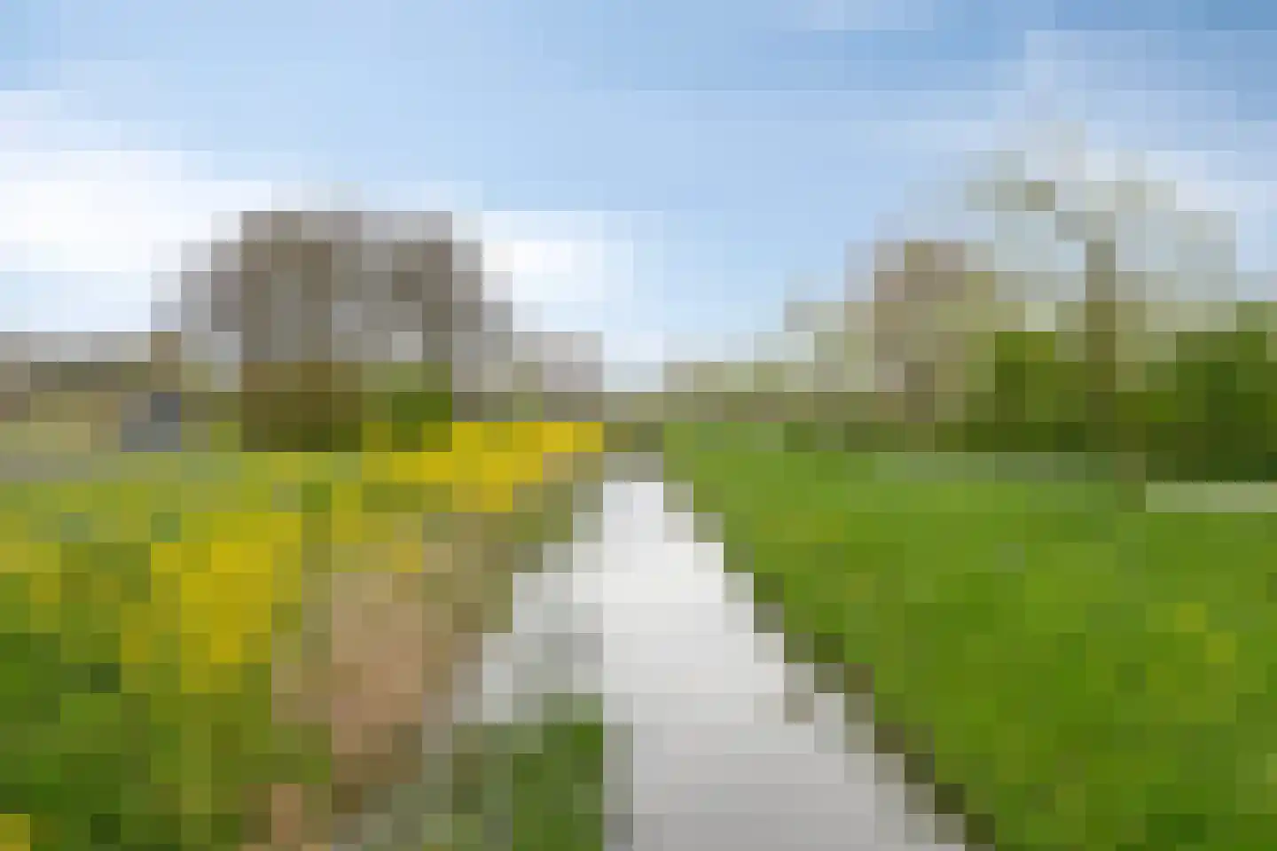 Ganzerik 22 Tiel thumbnail 29