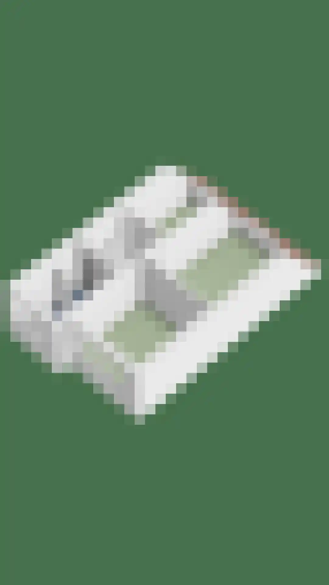 Ganzerik 22 Tiel thumbnail 39