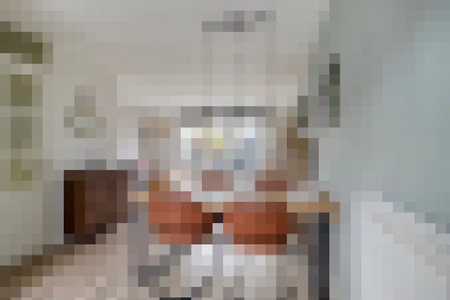 Ganzerik 22 Tiel thumbnail 5