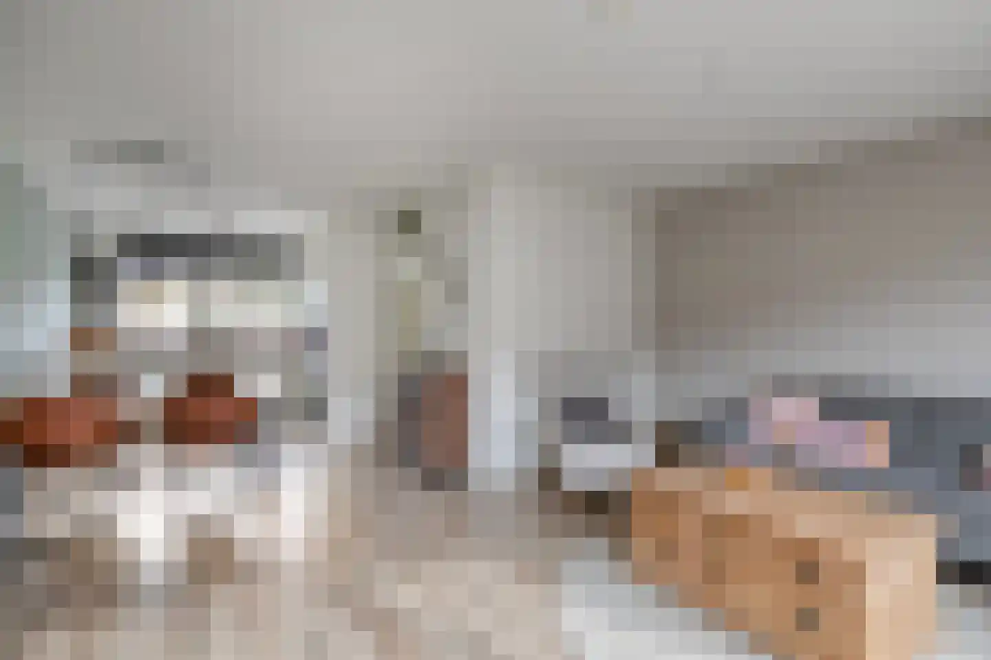 Ganzerik 22 Tiel thumbnail 6