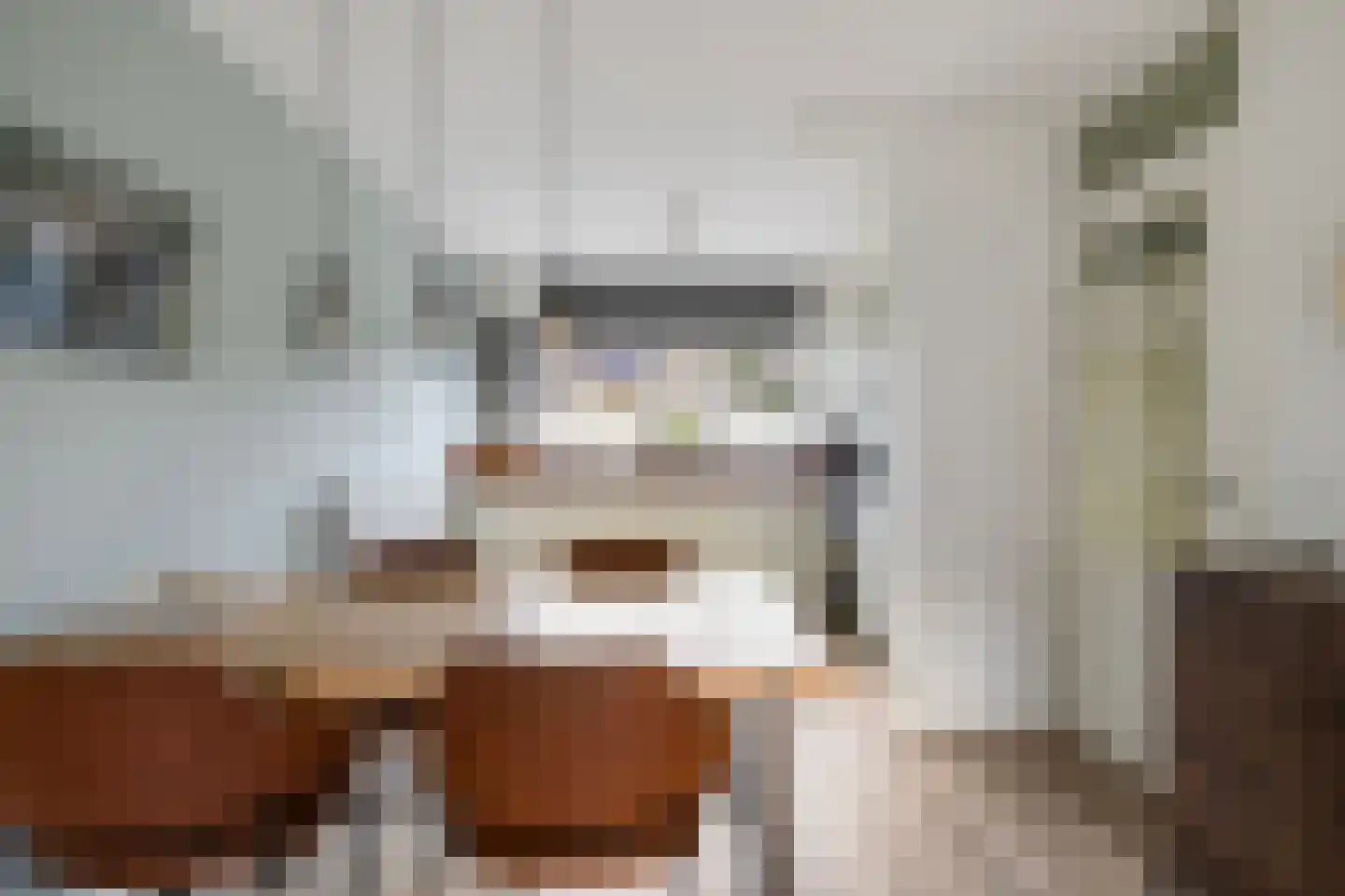 Ganzerik 22 Tiel thumbnail 7