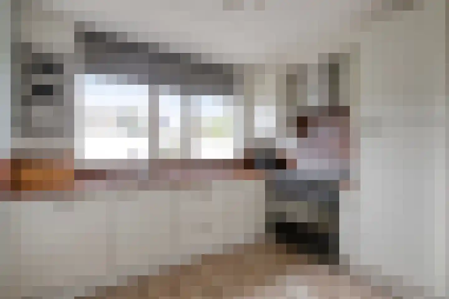 Ganzerik 22 Tiel thumbnail 8