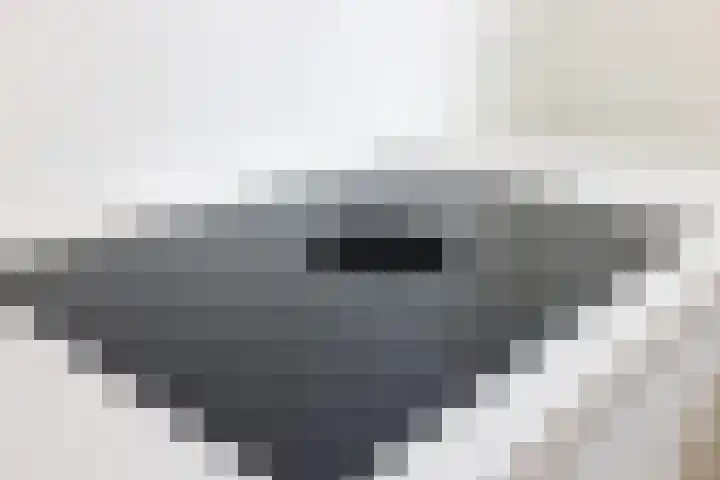 Ganzerik 31 Bennekom thumbnail 10