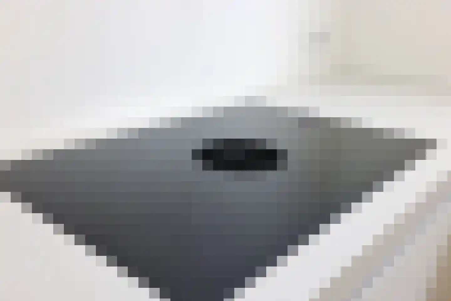 Ganzerik 31 Bennekom thumbnail 10