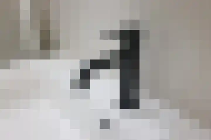 Ganzerik 31 Bennekom thumbnail 18