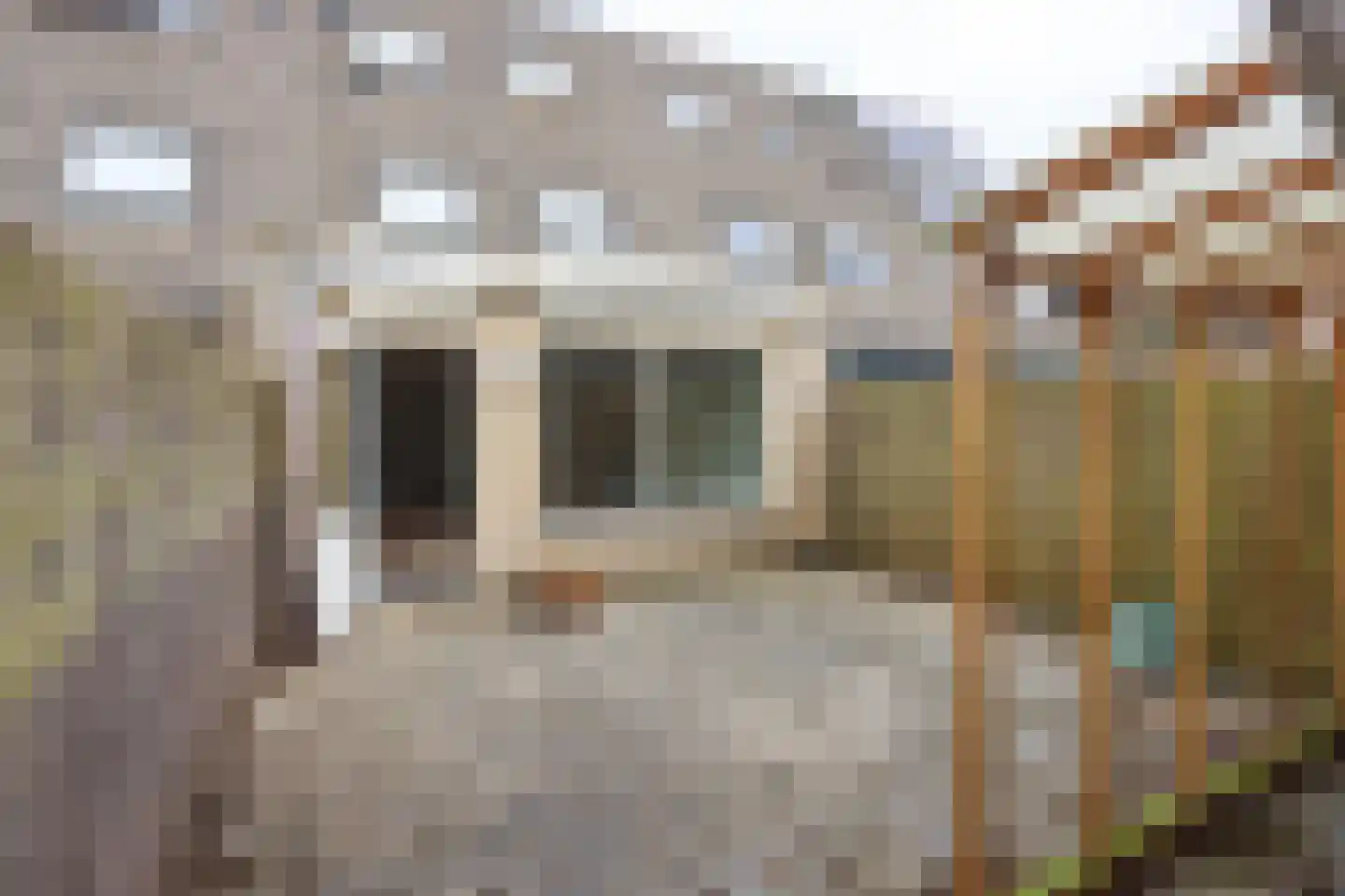 Ganzerik 31 Bennekom thumbnail 21