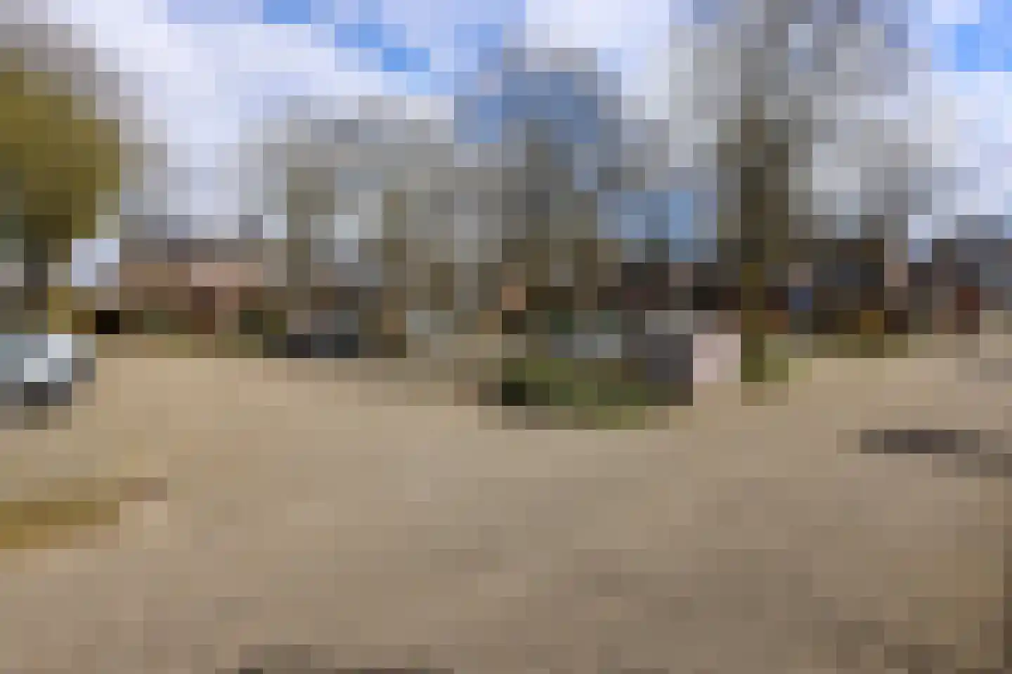 Ganzerik 31 Bennekom thumbnail 4