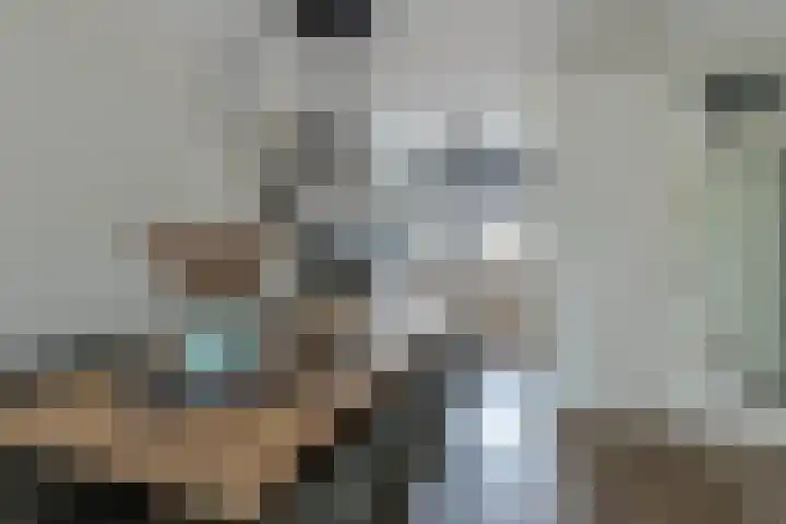 Ganzerik 33 Alblasserdam thumbnail 10