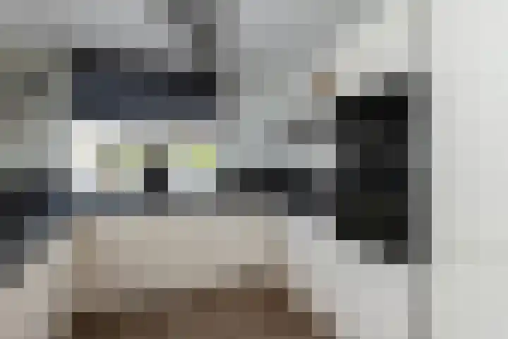 Ganzerik 33 Alblasserdam thumbnail 11