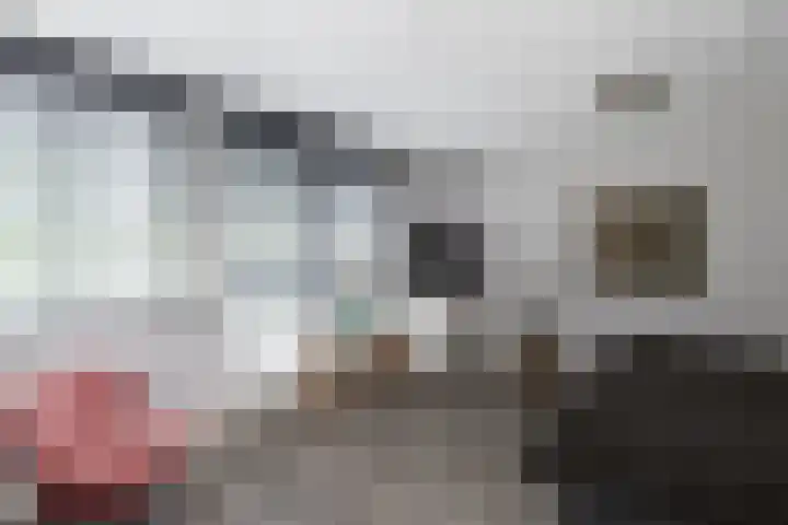 Ganzerik 33 Alblasserdam thumbnail 12