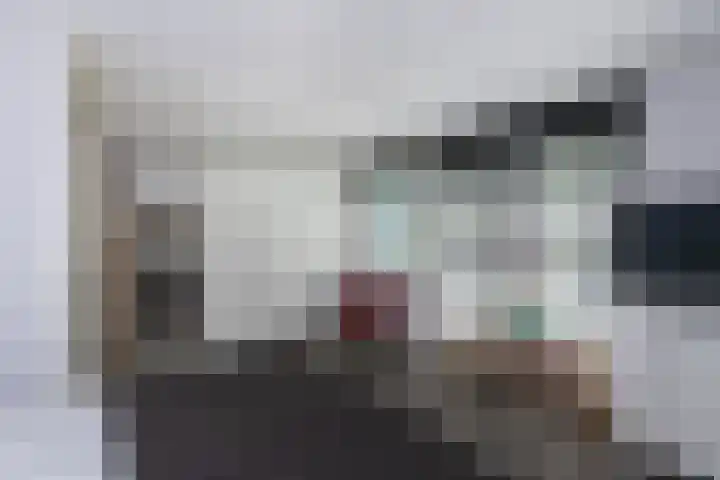 Ganzerik 33 Alblasserdam thumbnail 13