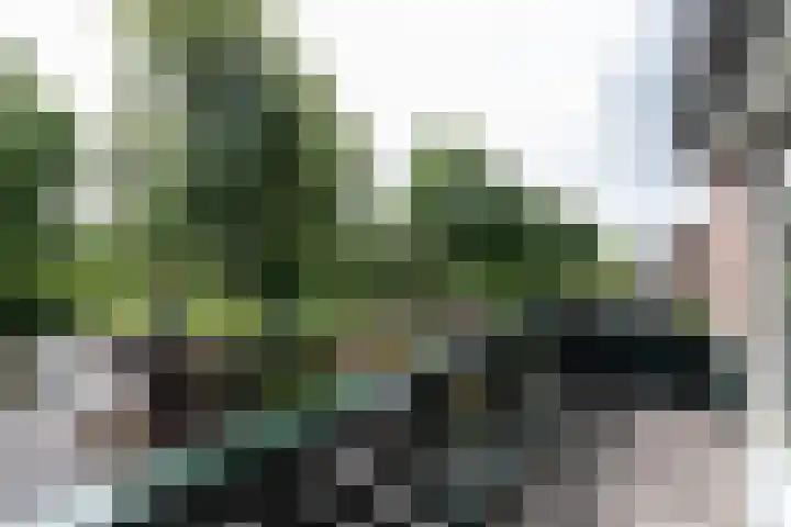 Ganzerik 33 Alblasserdam thumbnail 14
