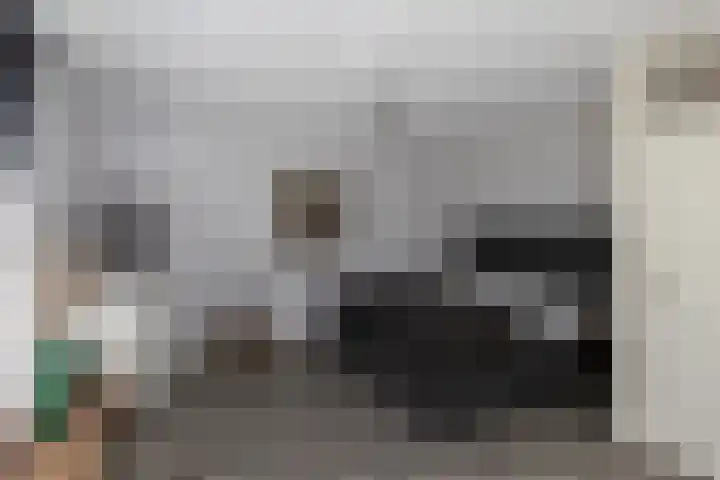 Ganzerik 33 Alblasserdam thumbnail 15