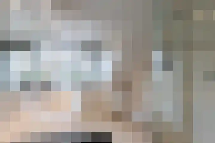 Ganzerik 33 Alblasserdam thumbnail 17