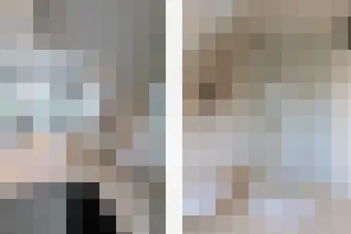 Ganzerik 33 Alblasserdam thumbnail 18