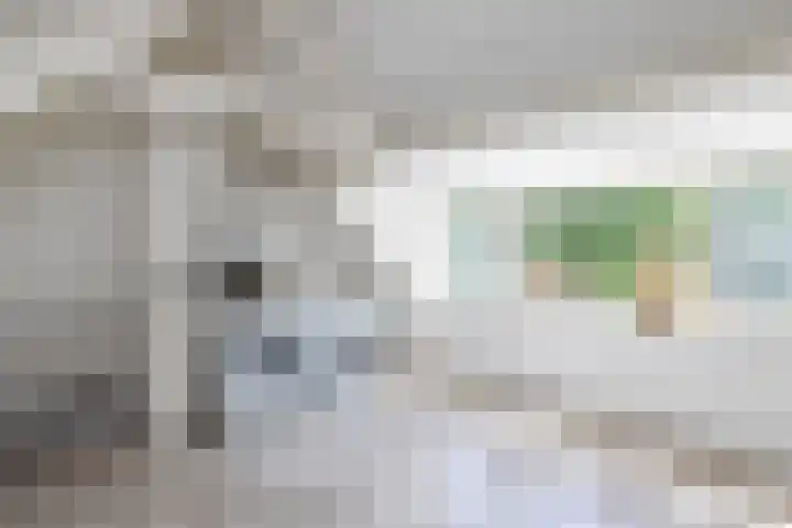 Ganzerik 33 Alblasserdam thumbnail 20