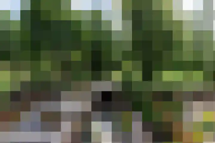 Ganzerik 33 Alblasserdam thumbnail 22