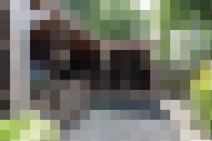 Ganzerik 33 Alblasserdam thumbnail 24