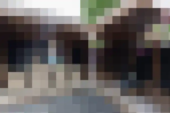 Ganzerik 33 Alblasserdam thumbnail 25