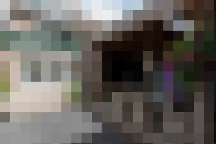 Ganzerik 33 Alblasserdam thumbnail 26