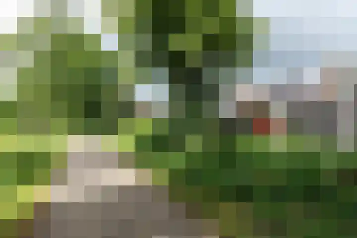 Ganzerik 33 Alblasserdam thumbnail 29