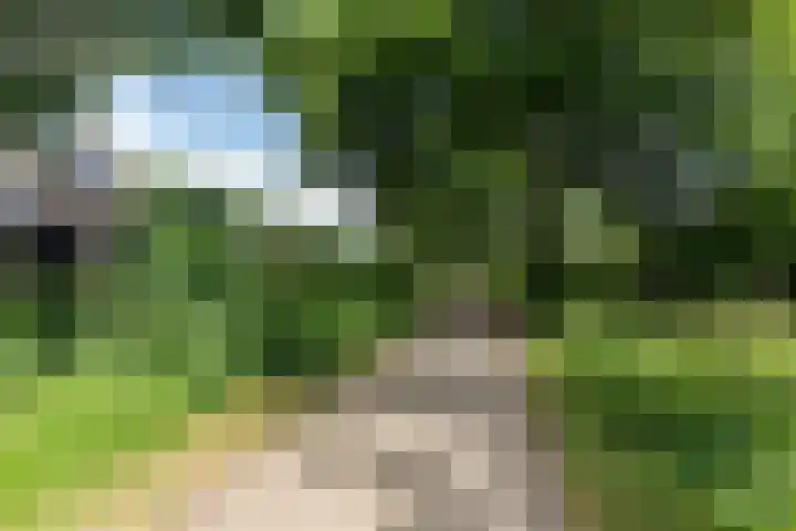 Ganzerik 33 Alblasserdam thumbnail 30