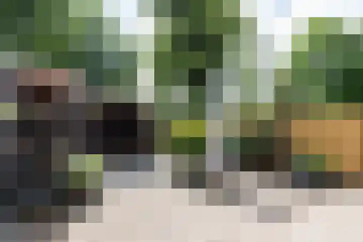 Ganzerik 33 Alblasserdam thumbnail 4