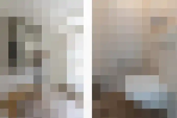 Ganzerik 33 Alblasserdam thumbnail 5