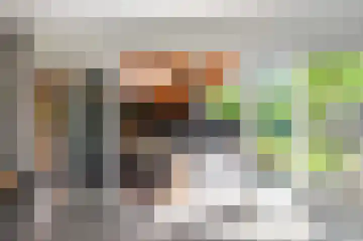 Ganzerik 39 Castricum thumbnail 18