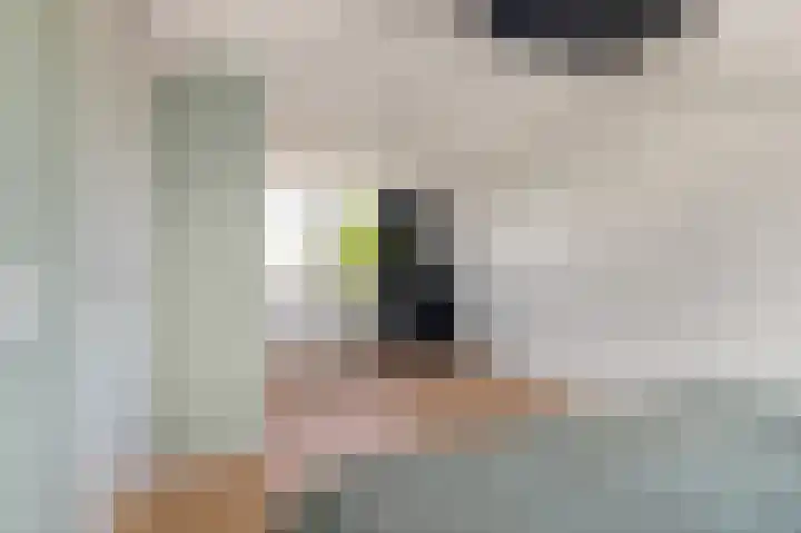 Ganzerik 39 Castricum thumbnail 35