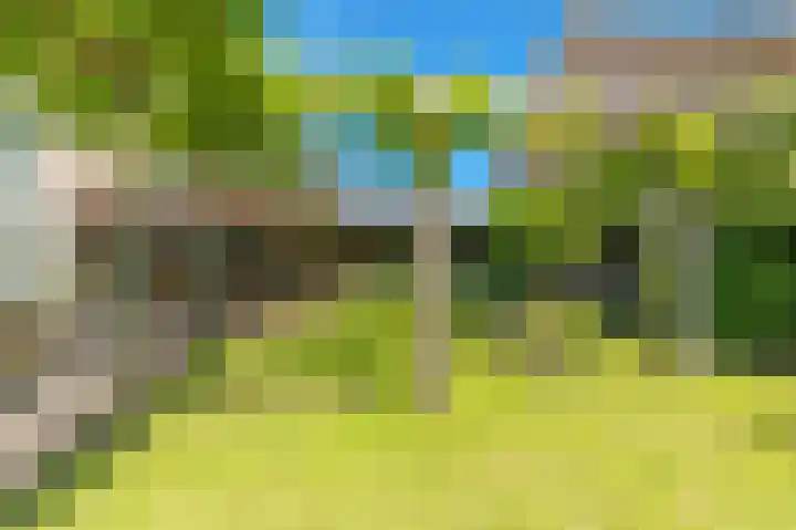 Ganzerik 39 Castricum thumbnail 4