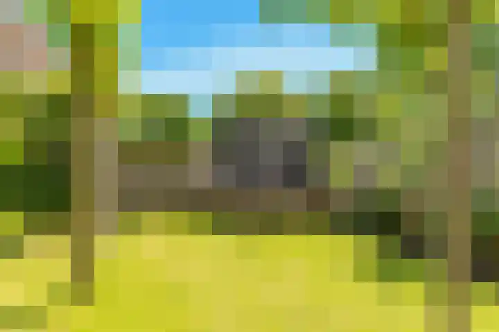 Ganzerik 39 Castricum thumbnail 41