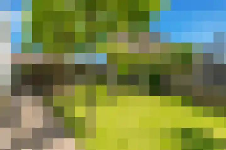 Ganzerik 39 Castricum thumbnail 42