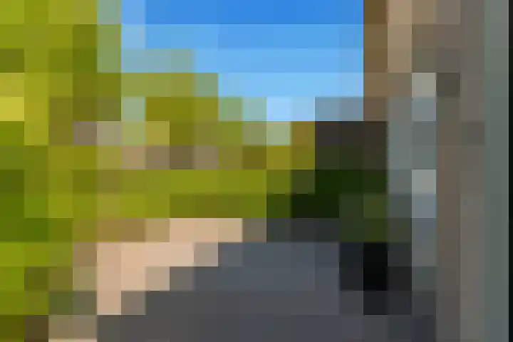 Ganzerik 39 Castricum thumbnail 46