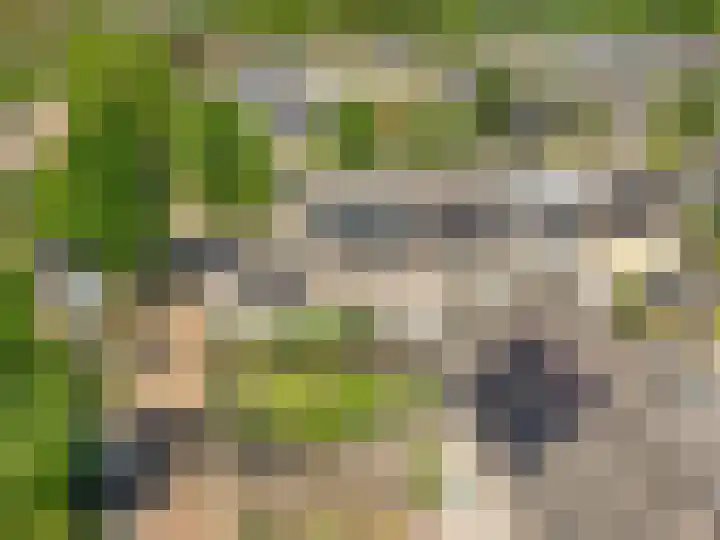 Ganzerik 39 Castricum thumbnail 51
